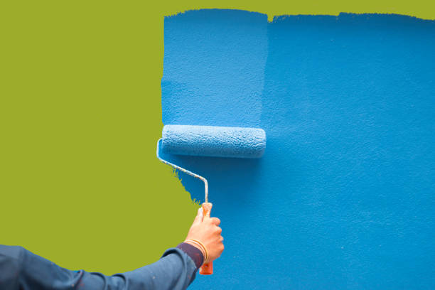 Best Mold Odor Removal Services  in Shady Hills, FL