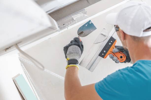 Best Post-Construction Mold Inspection  in Shady Hills, FL